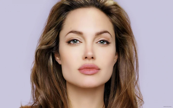 actress angelina jolie close up hollywood