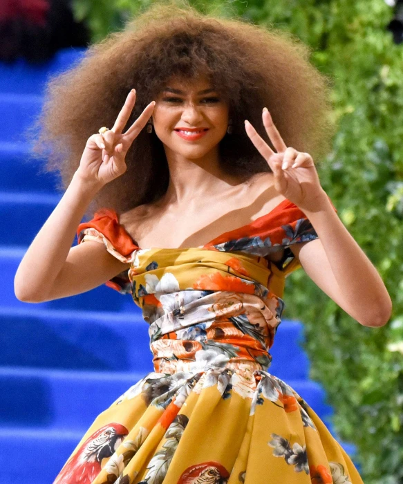 zendaya brushed out afro actress hollywood