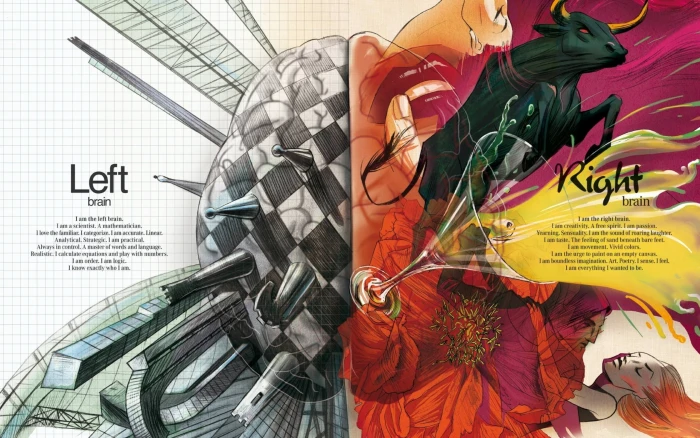 left and right brain illustration splitting abstract anatomy 78 2k