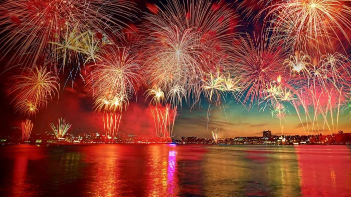 firework july night celebration holiday new design light