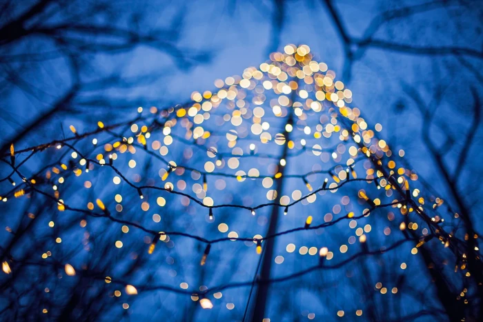 yellow LED strip selective focus photography of a string lights 2k