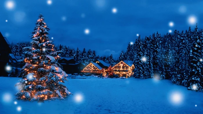 px Beautiful christmas gift holiday merry Santa snow tree winter Animals Bears HD Art 3