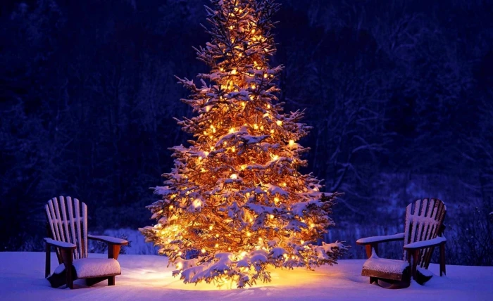 Christmas Outdoor Decorations brown and white tree