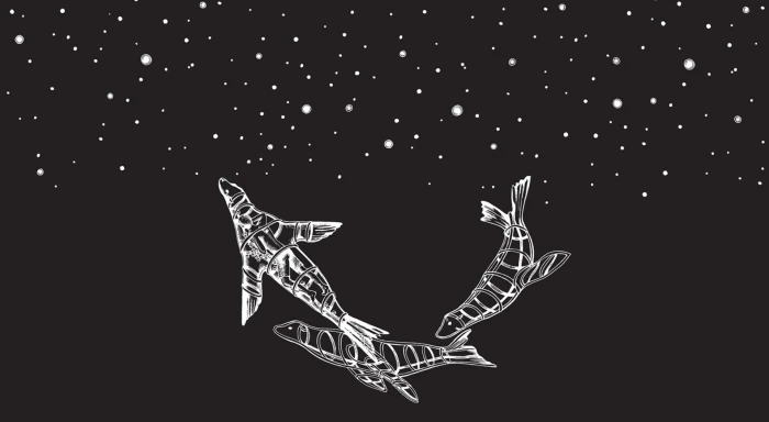 Coldplay Midnight three seal sketches Music representation