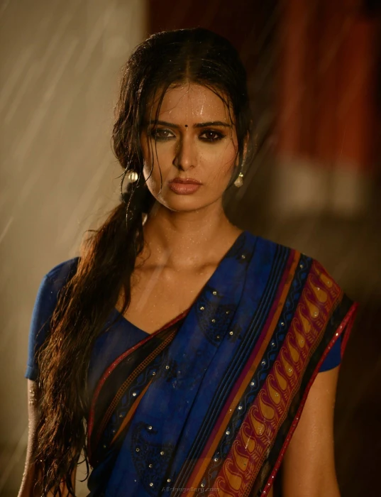 actress indian saree 55