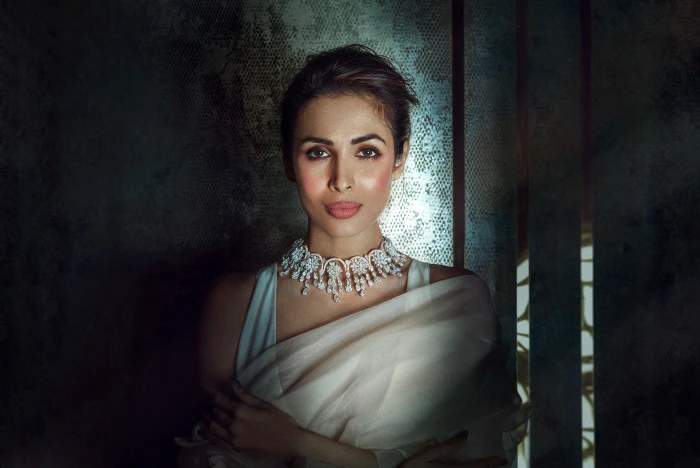 Actresses Malaika Arora Khan Bollywood Brown Eyes Brunette