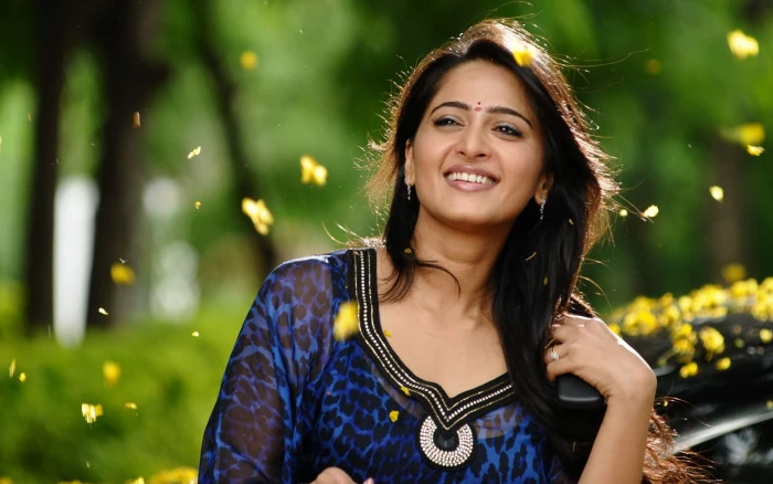 Anushka Shetty In Damarukam Movie women's blue sari dress Female Celebrities