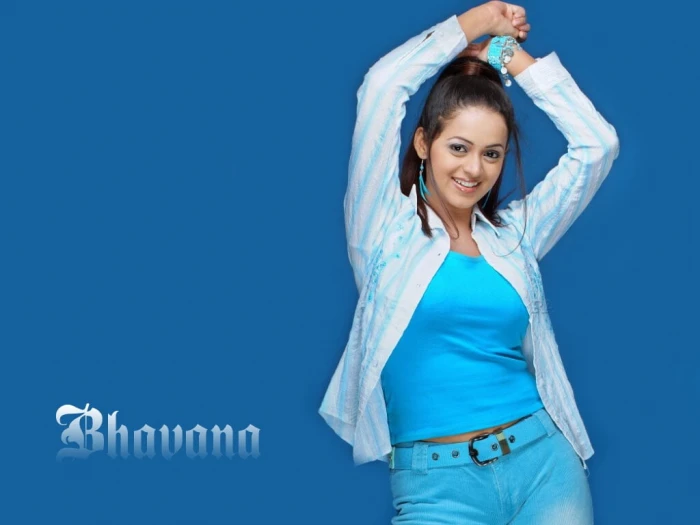 Bhavana women's white and blue pinstriped dress shirt with text overlay