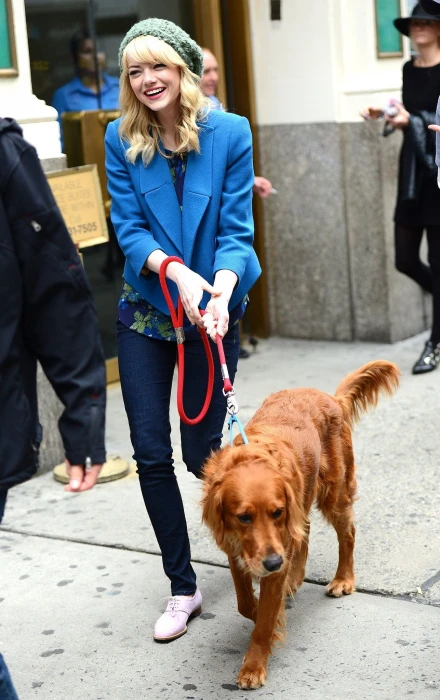 Emma Stone actress women dog animals pets domestic