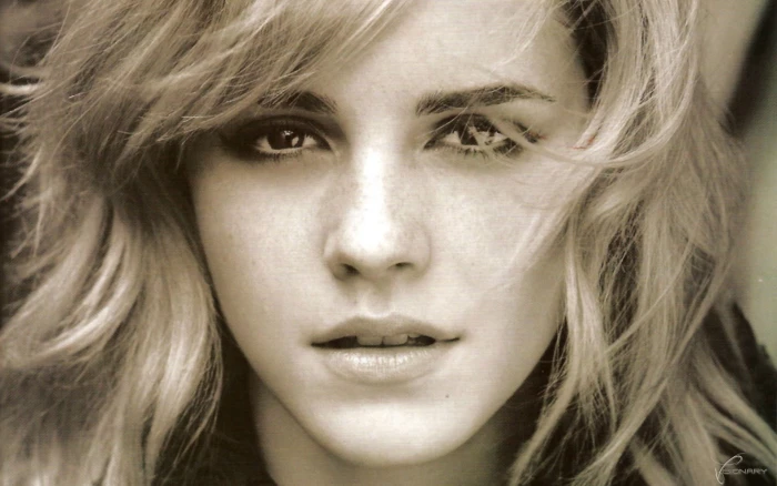 Emma Watson actress face sepia women celebrity portrait