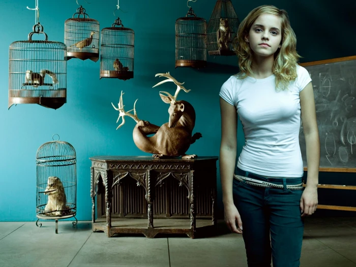 Emma Watson Harry Potter actress