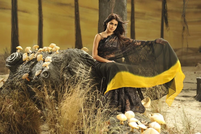 Genelia Latest Saree women's gray and yellow tunic Female Celebrities 57