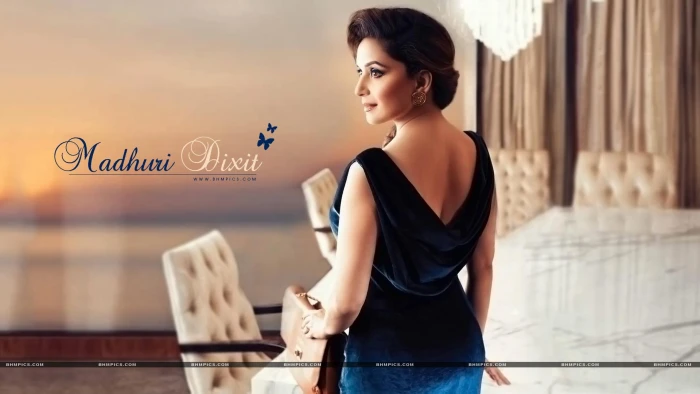 Madhuri Dixit In Blue Dress women's black sleeveless shirt female celebrities