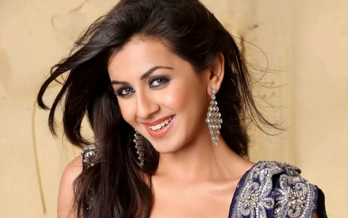 Nikki Galrani Indian Actress Beauty HD Photo Wallp portrait 2k