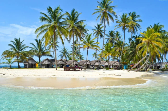 palms Indian Ocean Maldives sky Best Beaches in the World 2k 4k 5k