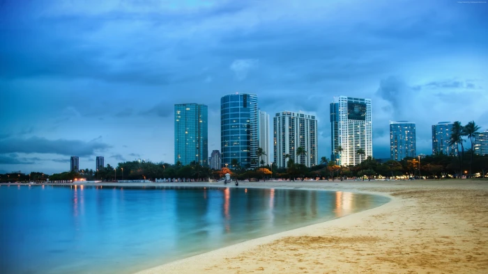 shore beach Miami palms ocean 2k 4k