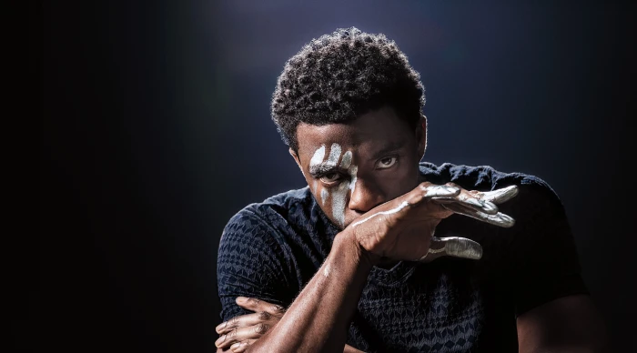 Black Panther Chadwick Boseman 2k 4k 5k 8k