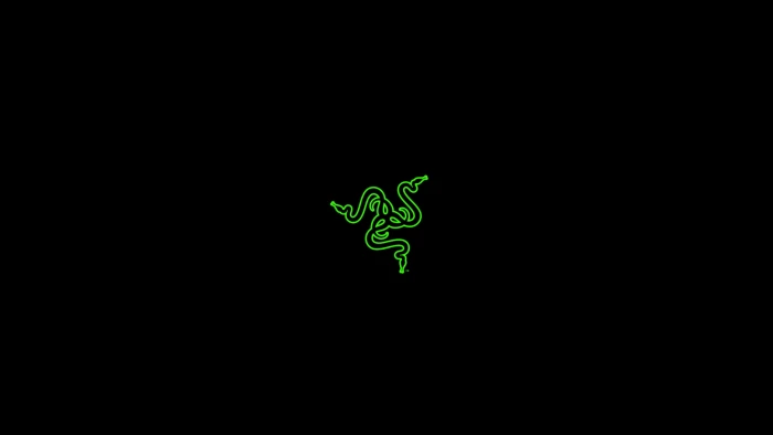 Razer PC Master Race gaming copy space green color 2k