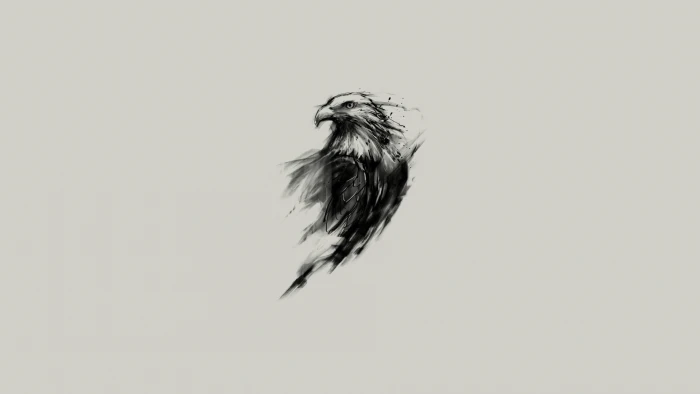 eagle sketch bald birds simple background sketches 2k