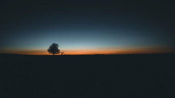 Beautiful Minimalistic sunrise sky tree tranquility silhouette 2k