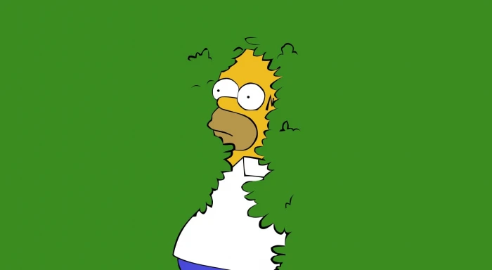 Homer Wall Simpson illustration Cartoons The Simpsons 2k
