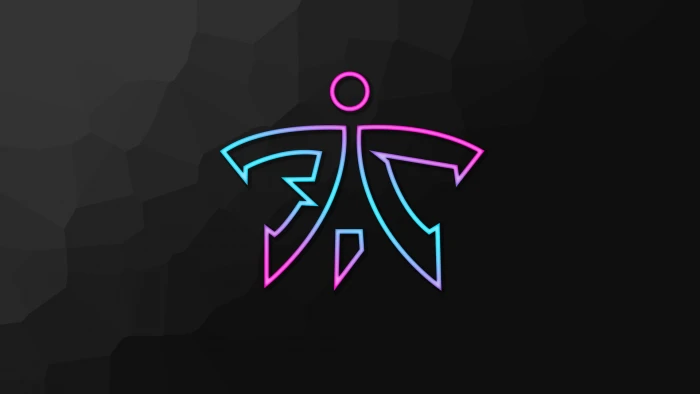 Video Game Fnatic Esports Gaming Team 2k
