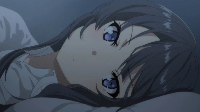 Anime Rascal Does Not Dream of Bunny Girl Senpai Mai Sakurajima 2k