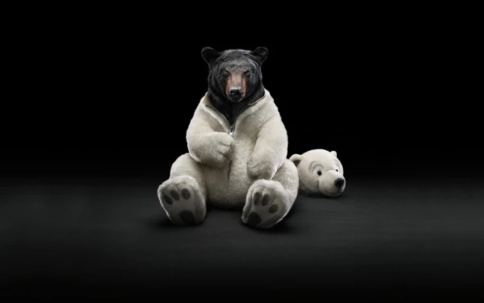 Grizzly bear wallpaper black bears digital art simple background 2k