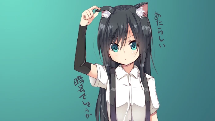 anime girls long hair Neko Works animal ears nekomimi 2k
