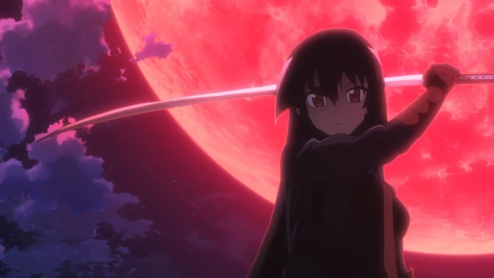 black haired female anime character holding sword wallpaper Akame ga Kill 2k