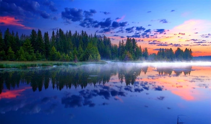 body of water morning mist Grand Teton National Park forest