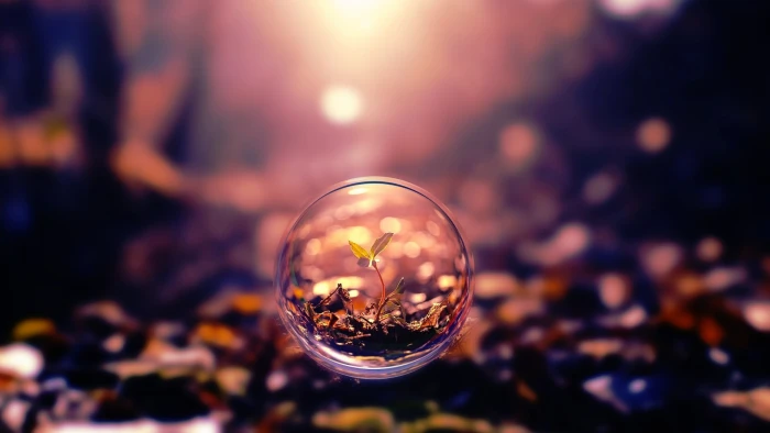clear glass decor green leaf plant nature plants sphere bubbles 2k