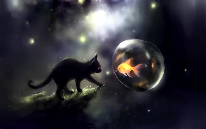 black cat and orange fish digital wallpaper Apofiss goldfish 2k