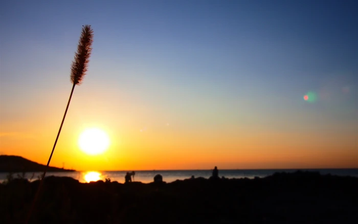 Korea Jeju Island travel scenery Wallpaper sky silhouette sunset 2k