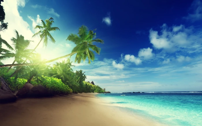 Beach In Sunset Time Seychelles beachfront Nature summer 2k