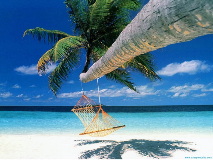beach cook Island tropical Beach