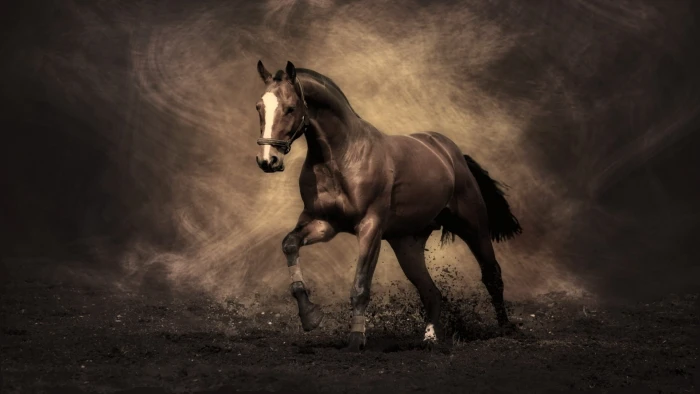brown horse digital wallpaper nature animal themes mammal 2k