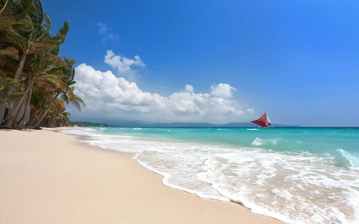 coconut trees tropical sailboats beach Boracay island Philippines 2k