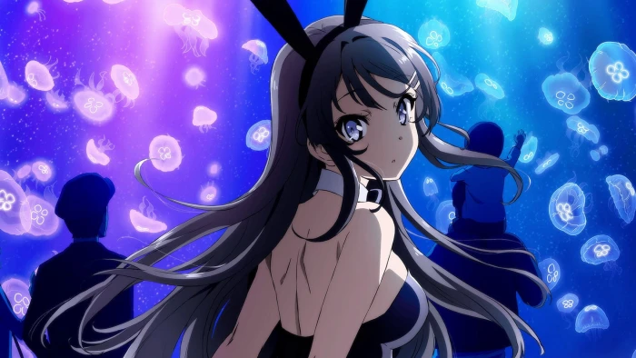 Anime Rascal Does Not Dream of Bunny Girl Senpai Mai Sakurajima 2k