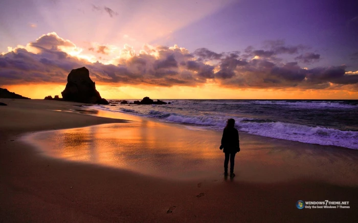 Aprecio O Por Do Sol pessoa praia lindo paisagem natureza 2k