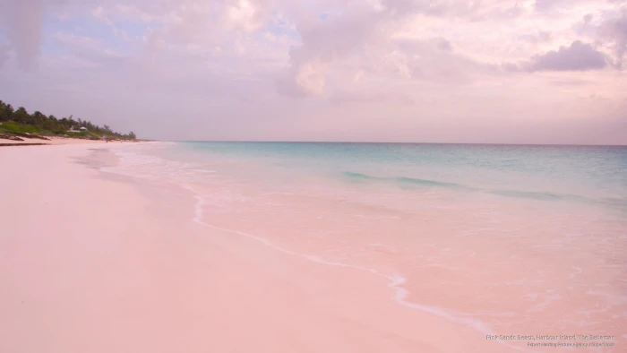 Pink Sands Beach Harbour Island The Bahamas Beaches 2k