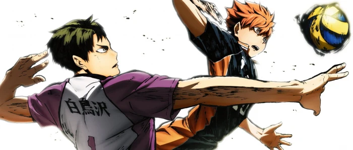 Shoyo Hinata from Haikyuu illustration Anime Haikyu Sh y 2k
