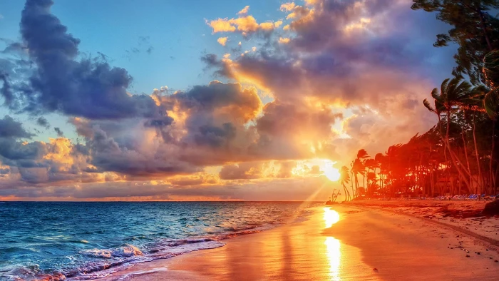beach sea shore palms sunset sunray sand nature 2k