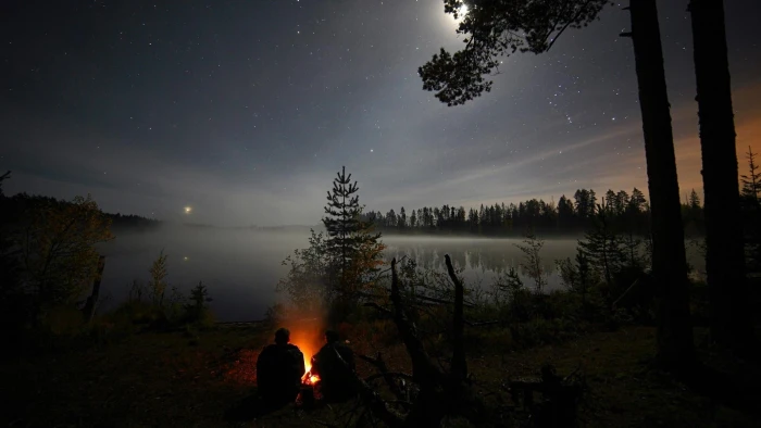 starry sky lake tree darkness night bonfire water nature 2k