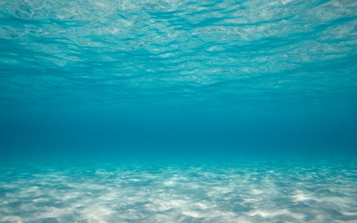 blue body of water sea underwater backgrounds undersea nature 2k
