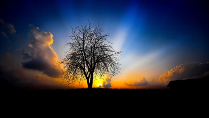 widescreen high resolution nature hd silhouette 2k