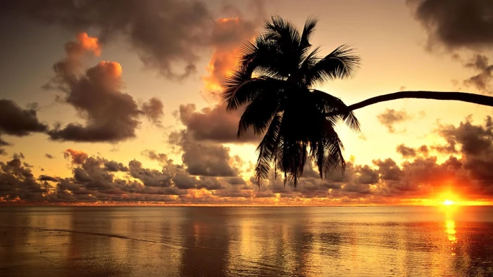 Hawaii beach sunset landscape clouds sea nature photography 2k
