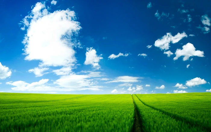 landscape photo of a green field under cloudy sky nature rural Scene 2k