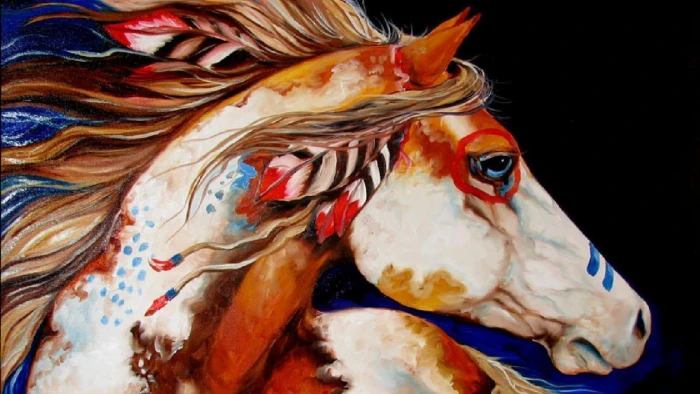 Native Horse native horses paint horse ponies nature wildlife 2k