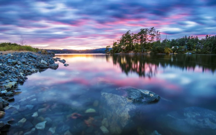 Nature scenery trees lake water stones sunset tranquility clear shallow 2k
